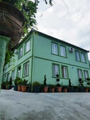  Boxwood  Батуми